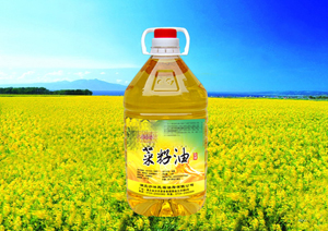 桶裝菜油灌裝機(jī)